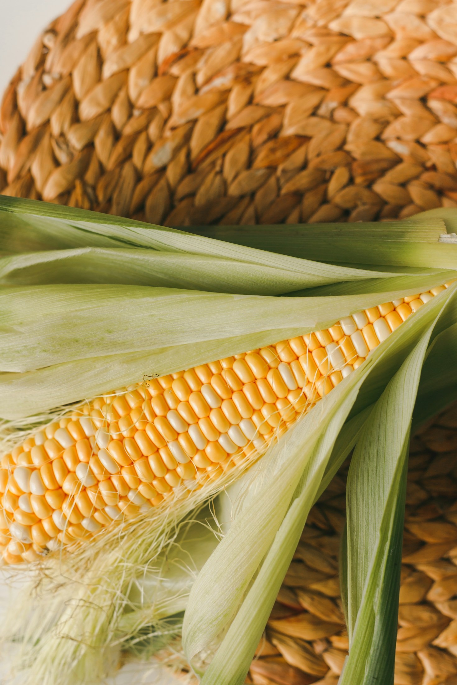 Como Tomar Decisões Baseadas em Dados no Agronegócio
